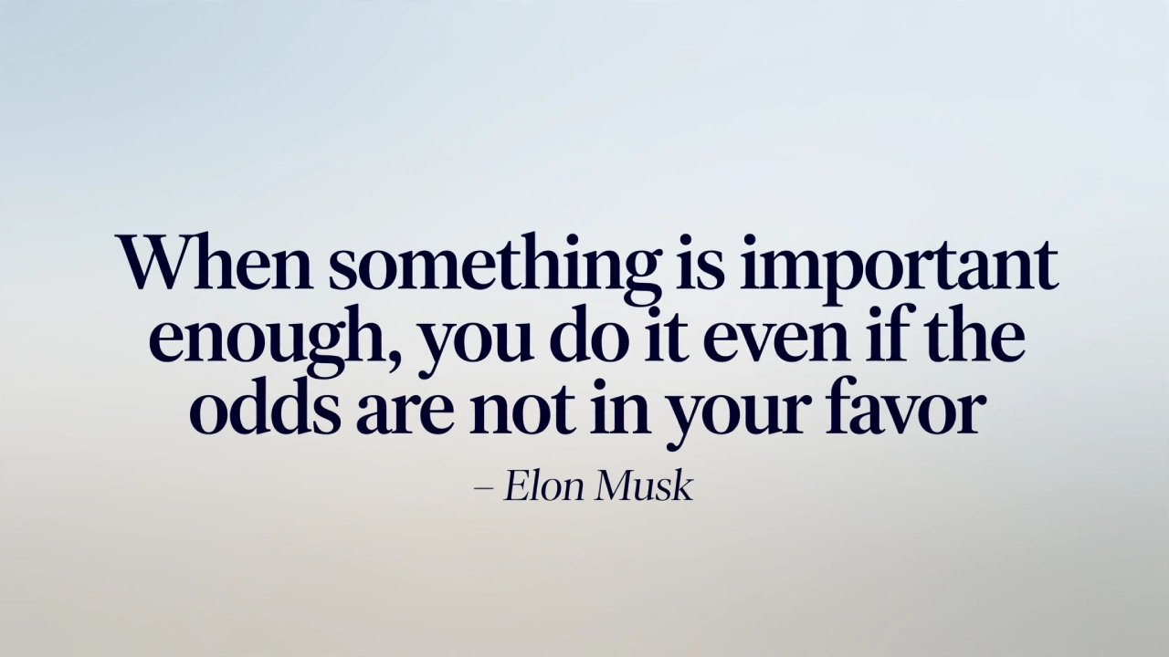Elon Musk inspirational quote picture about taking risks for what matters